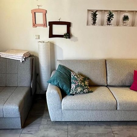 Lara Deluxe Superior 5 Star Apartment, Your Piece Of Heaven By The Sea & Park Novigrad Istria المظهر الخارجي الصورة