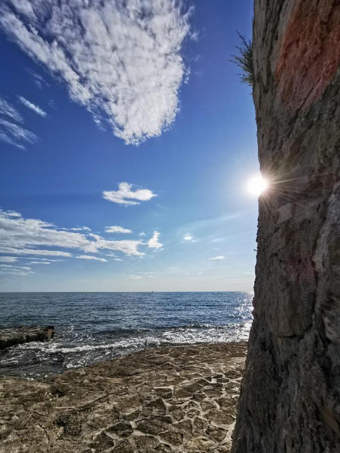 Lara Deluxe Superior 5 Star Apartment, Your Piece Of Heaven By The Sea & Park Novigrad Istria المظهر الخارجي الصورة